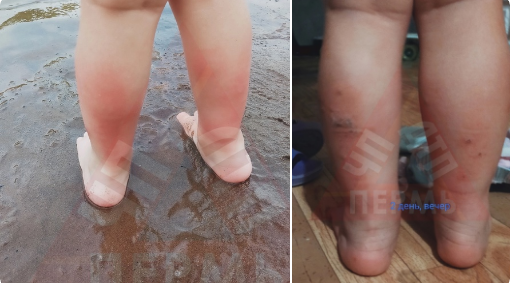 Фото: «ВКонтакте» / ЧП ДТП Пермь