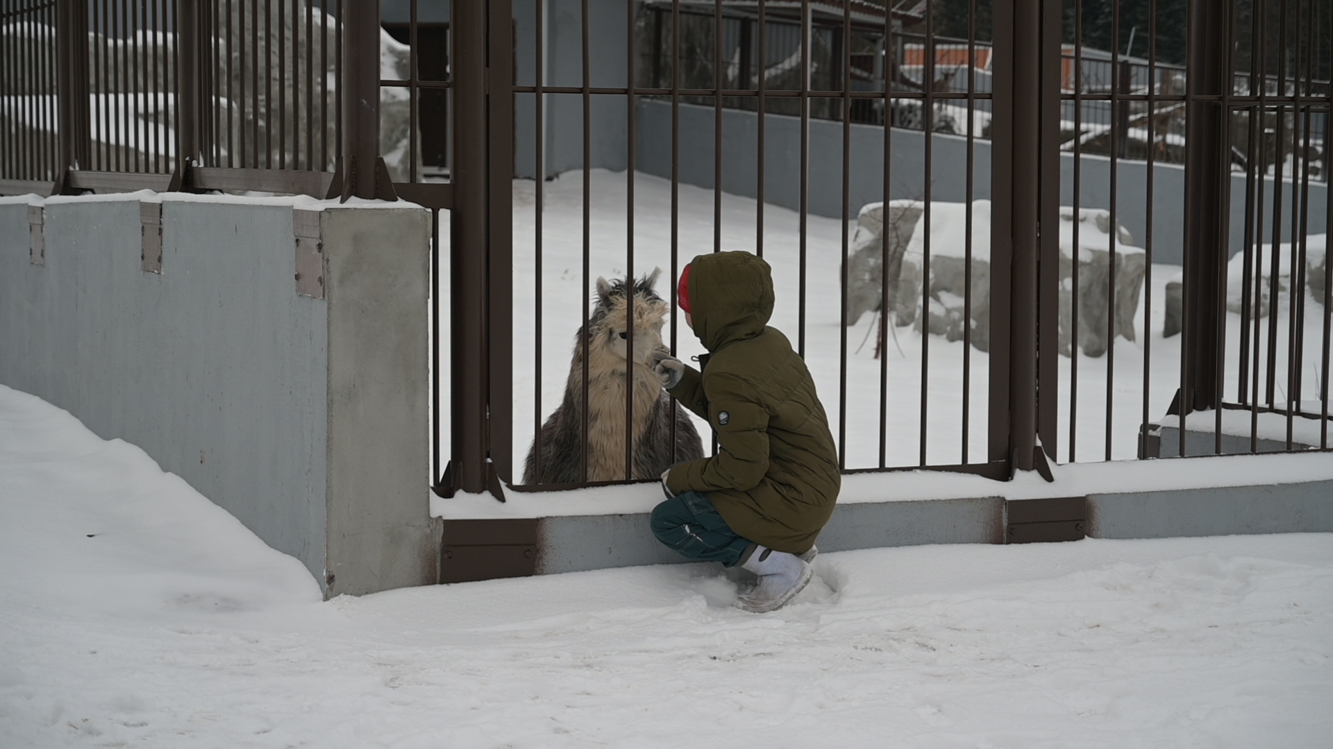 Фото: v-kurse.ru