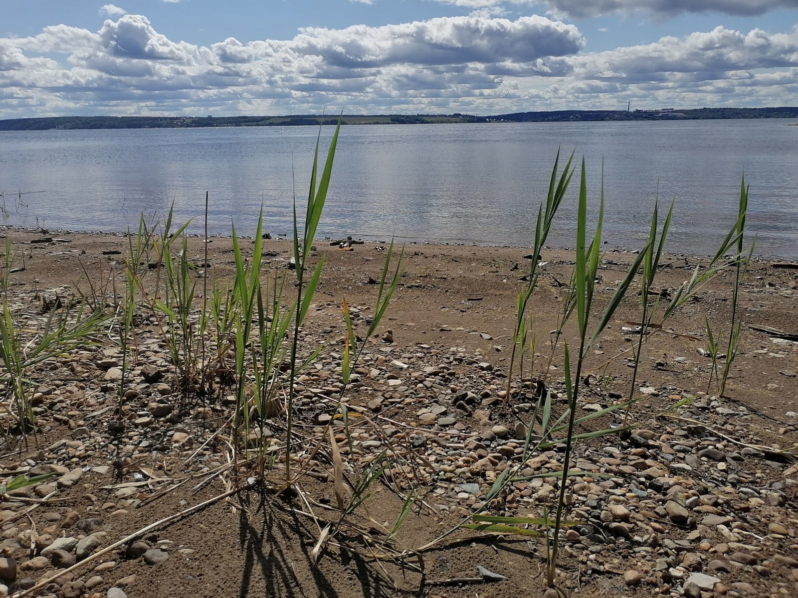 Фото: В курсе.ру