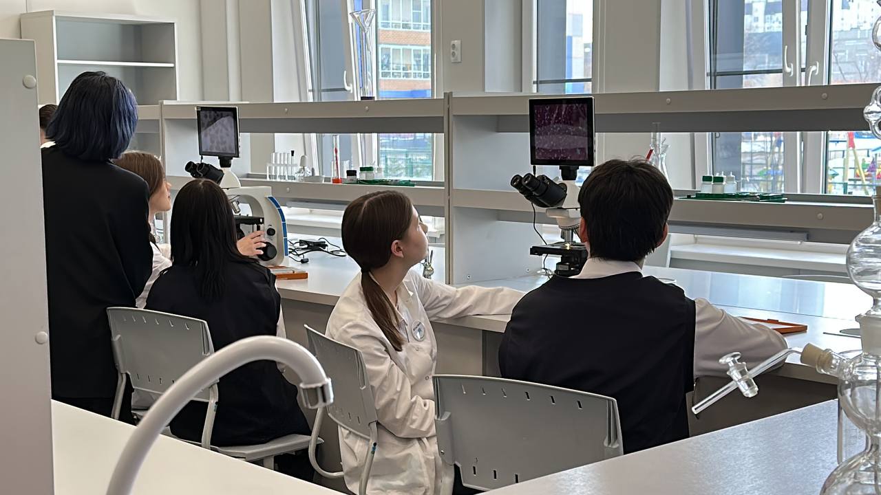 Фото: В курсе.ру