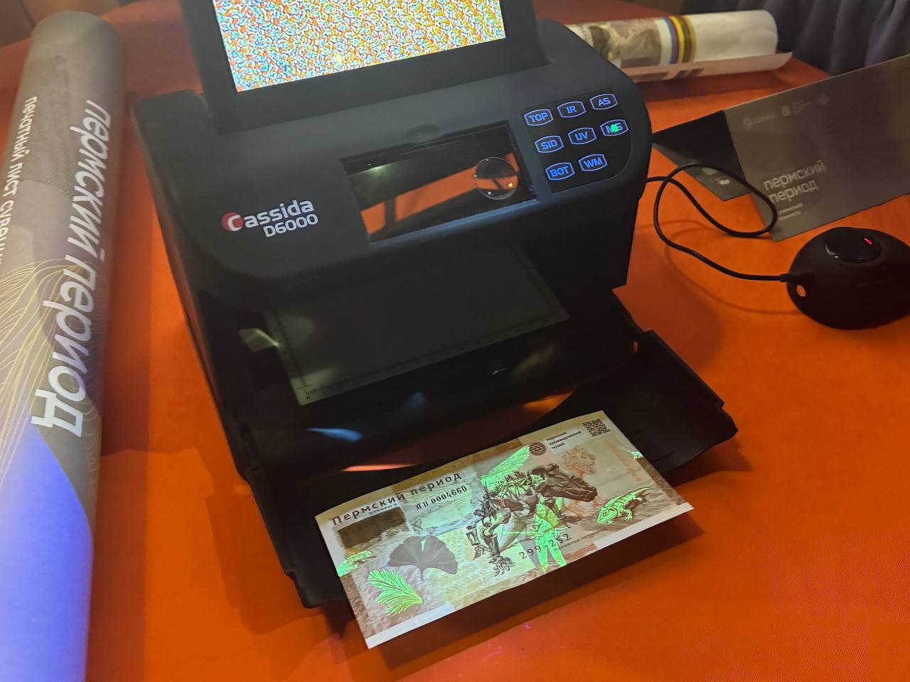 Фото: Лела Минадзе