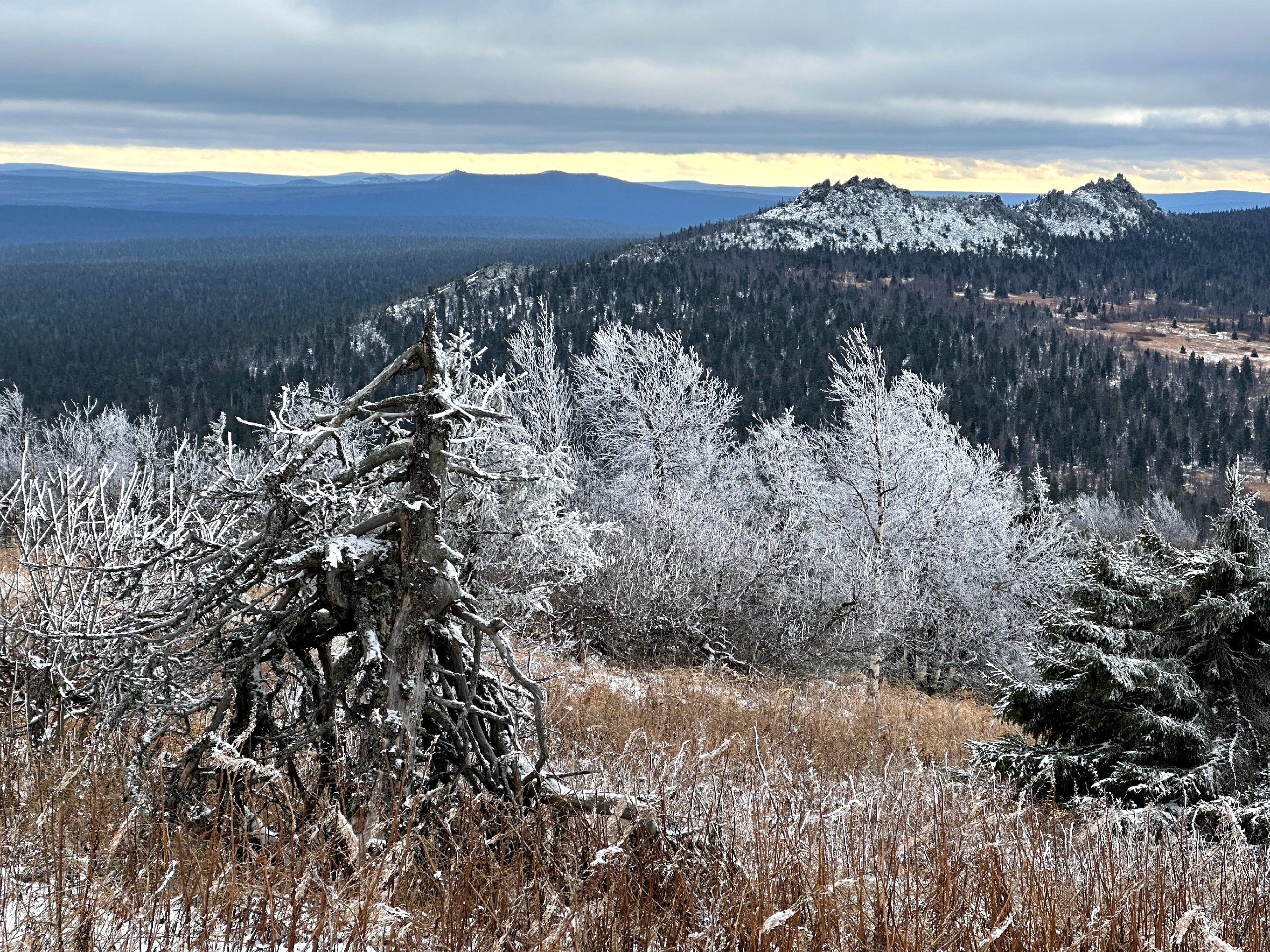 Фото: В курсе.ру  Полина Анкушина
