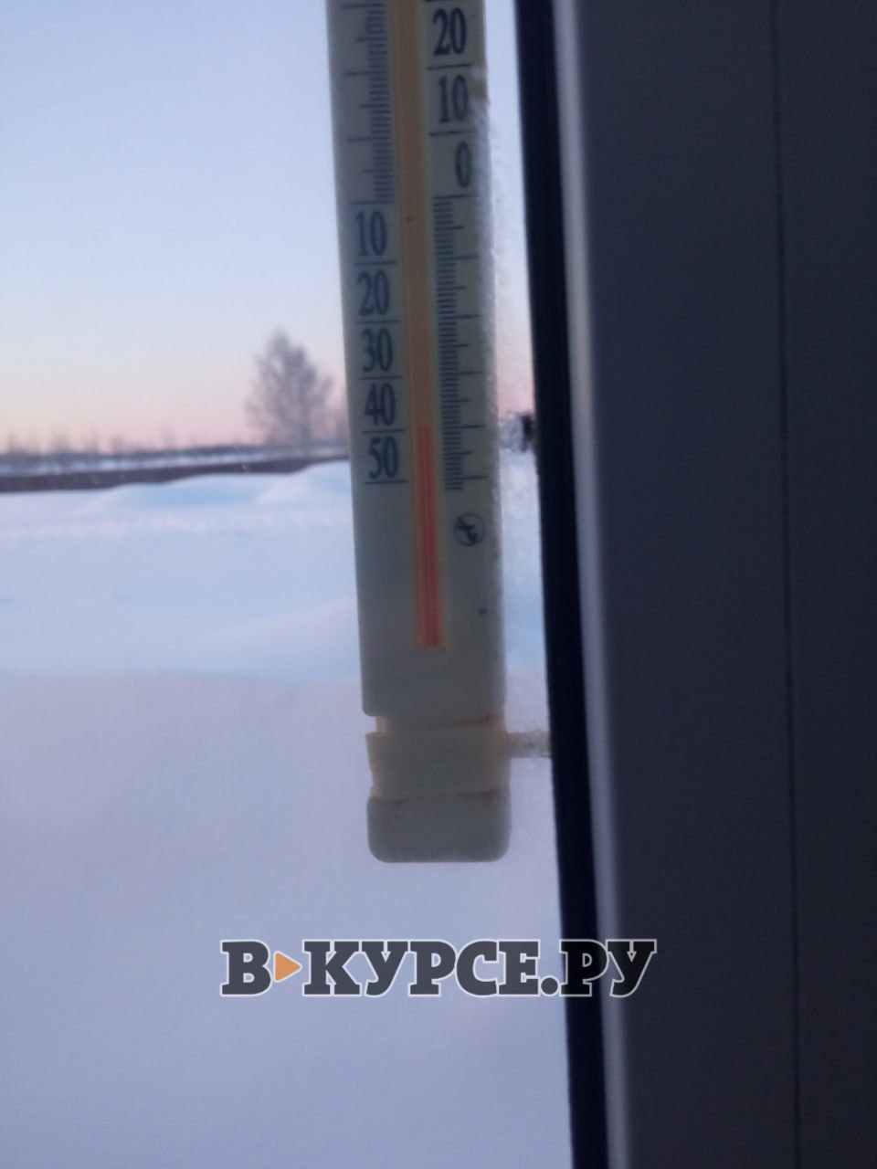 Фото: подписчики 