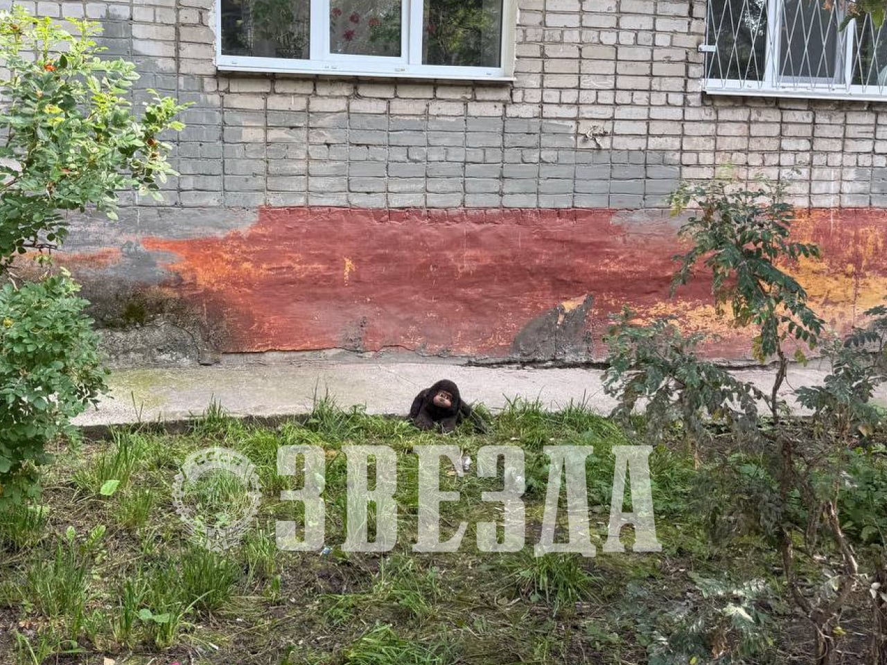 Фото: краевая газета «Звезда»