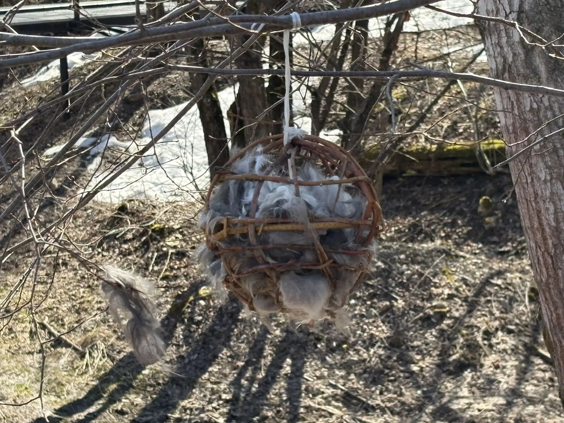 Фото: v-kurse.ru