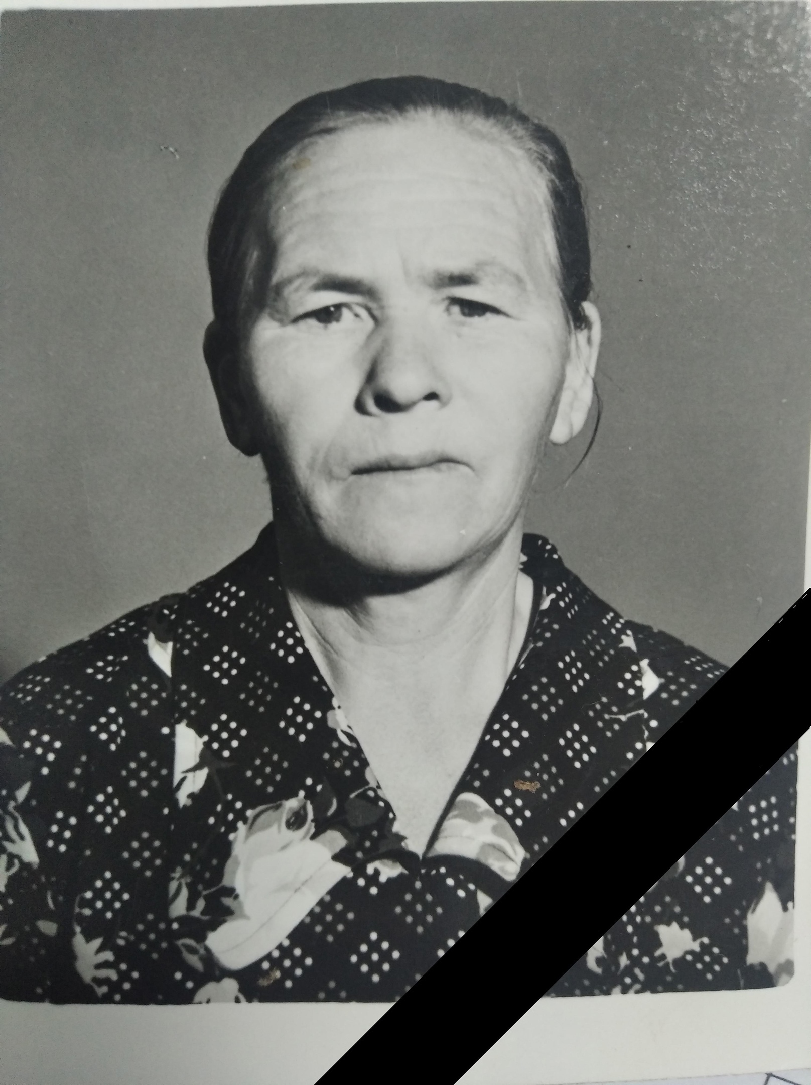 Фото: Администрация Гайнского муниципального округа 