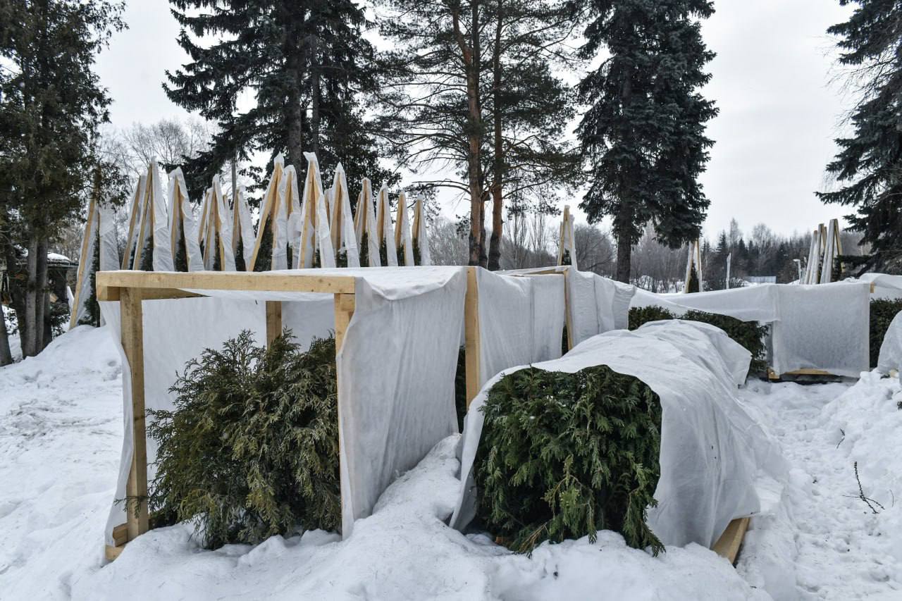 Фото: пресс-служба администрации Перми