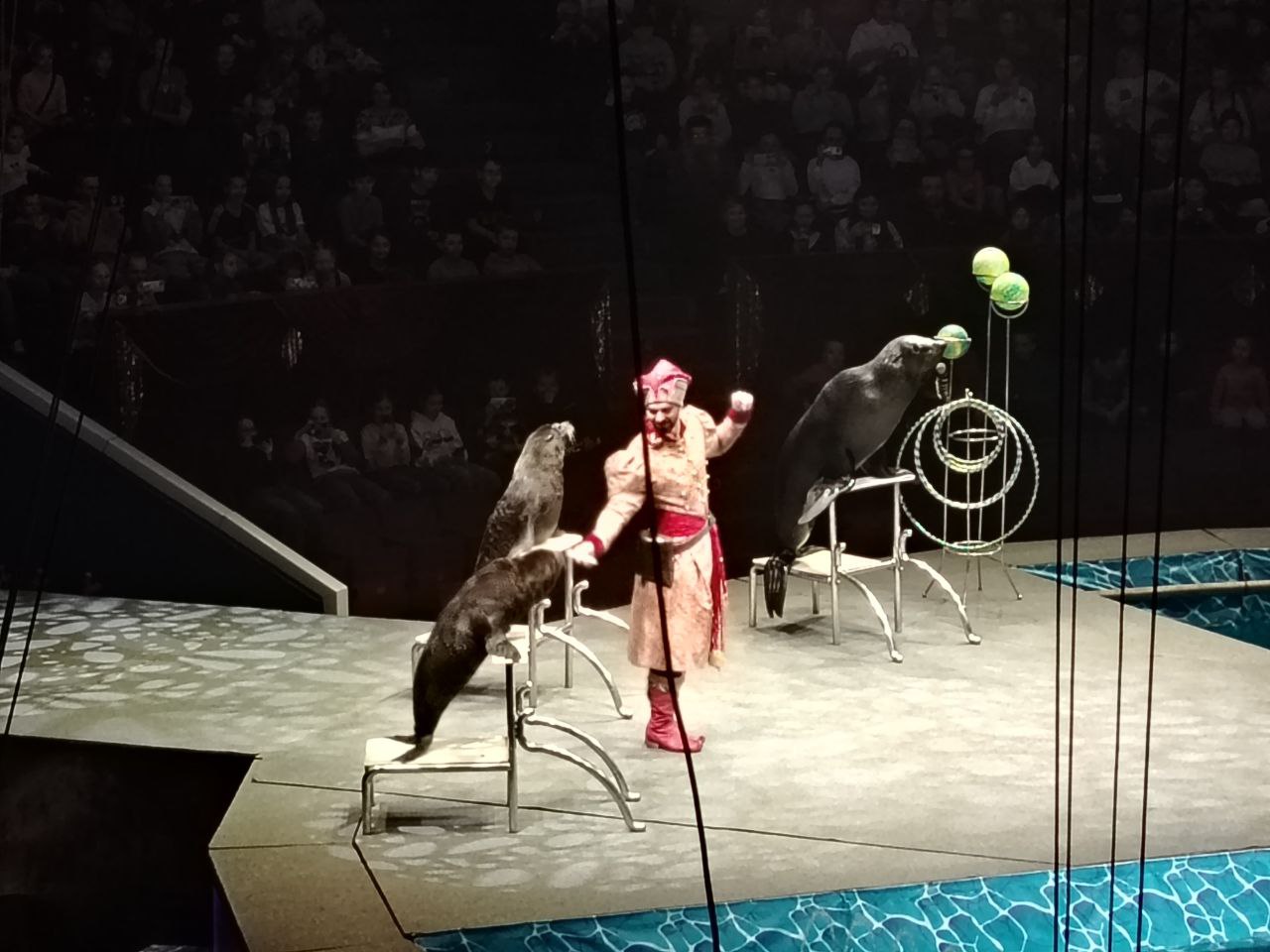 Фото: В курсе.ру