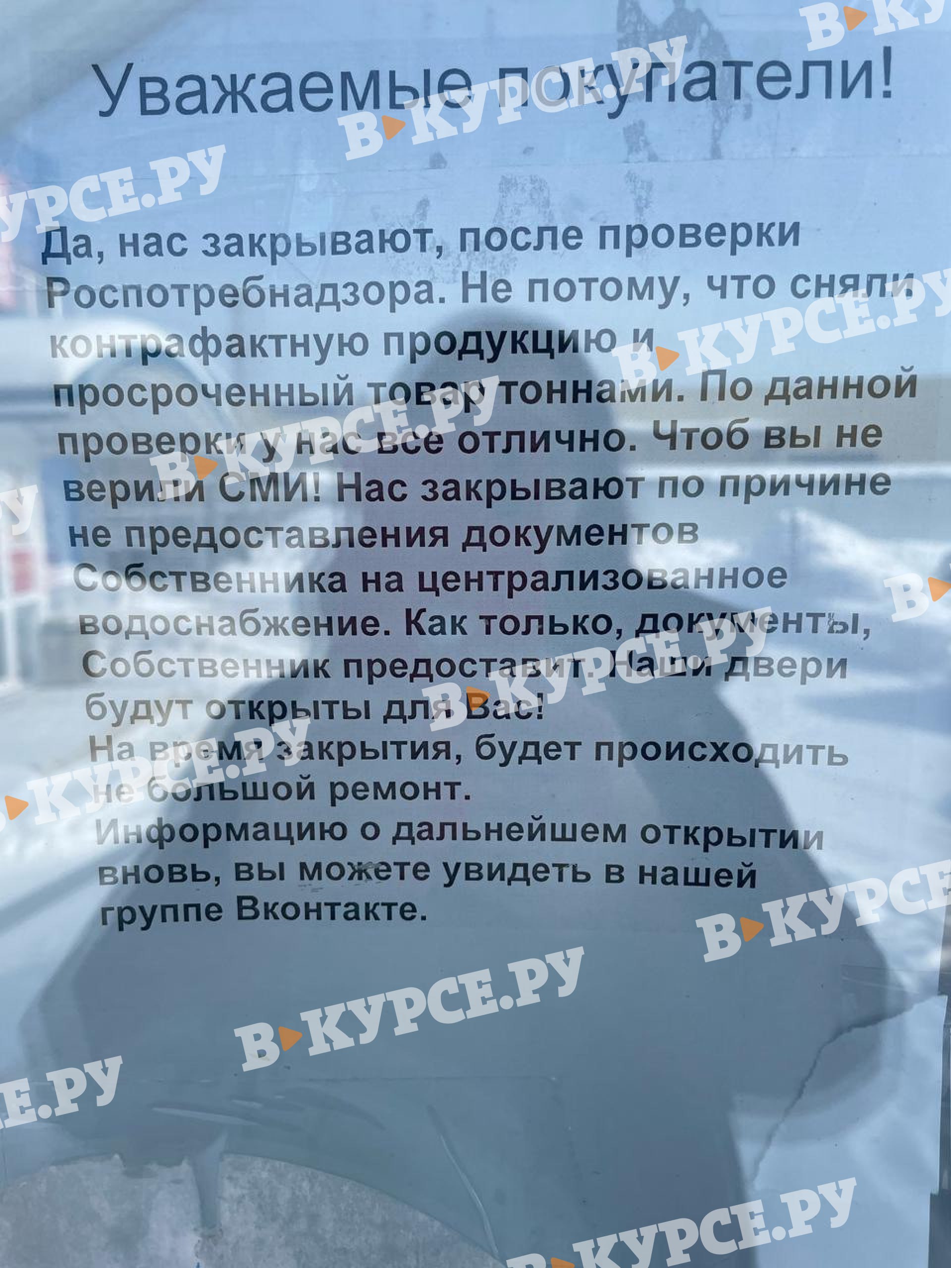 Фото: В курсе.ру