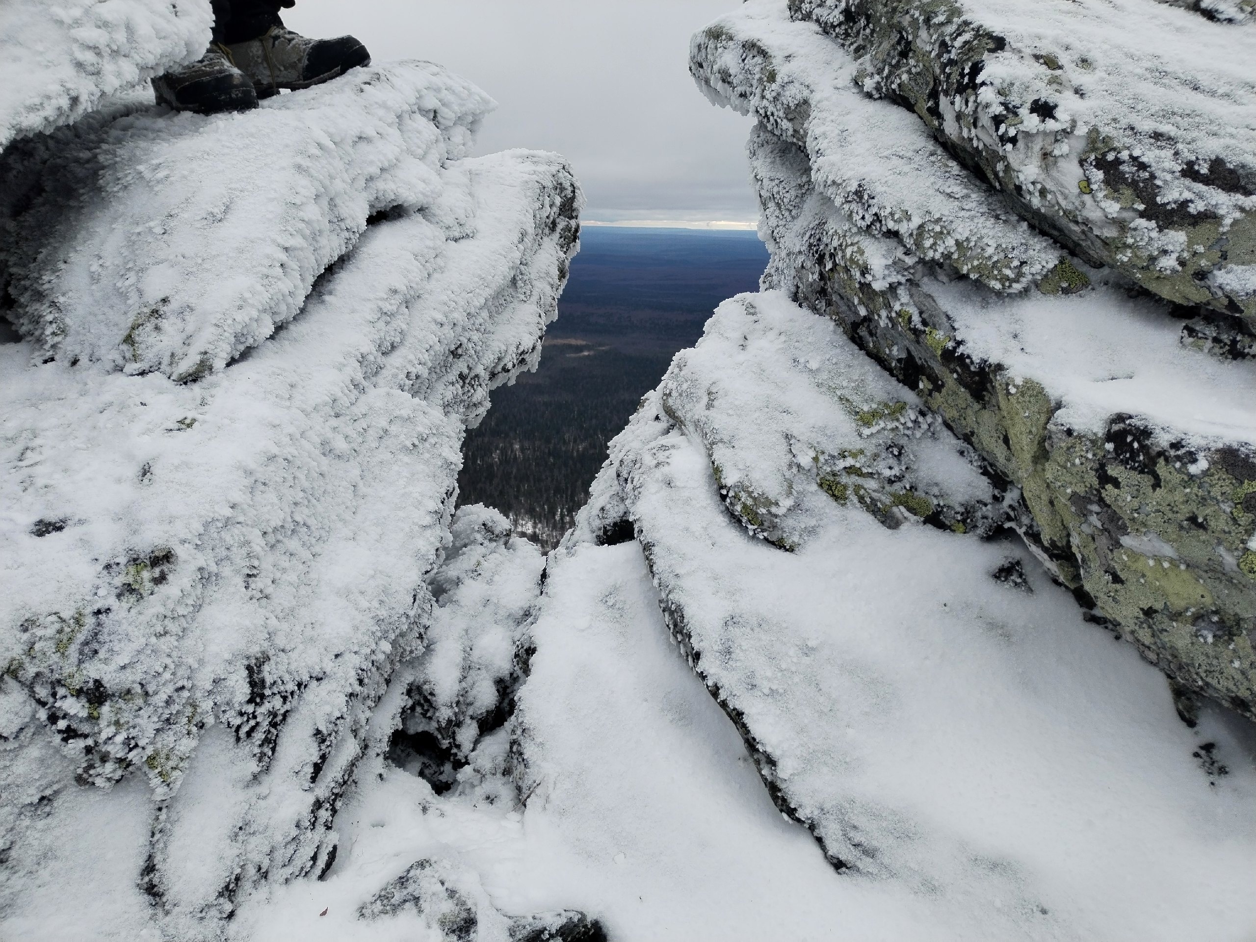 Фото: В курсе.ру  Полина Анкушина