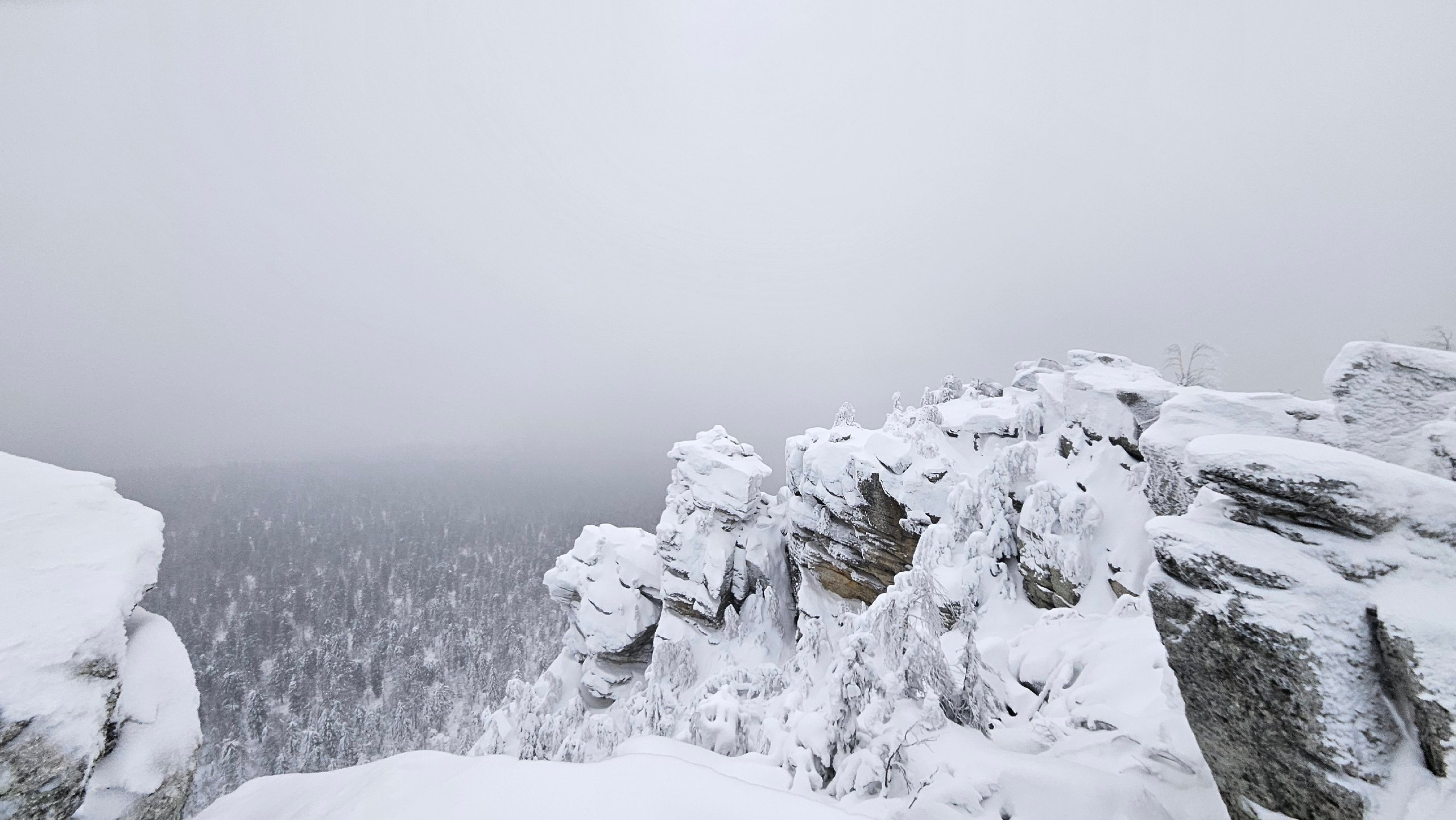 Фото: Заповедник 