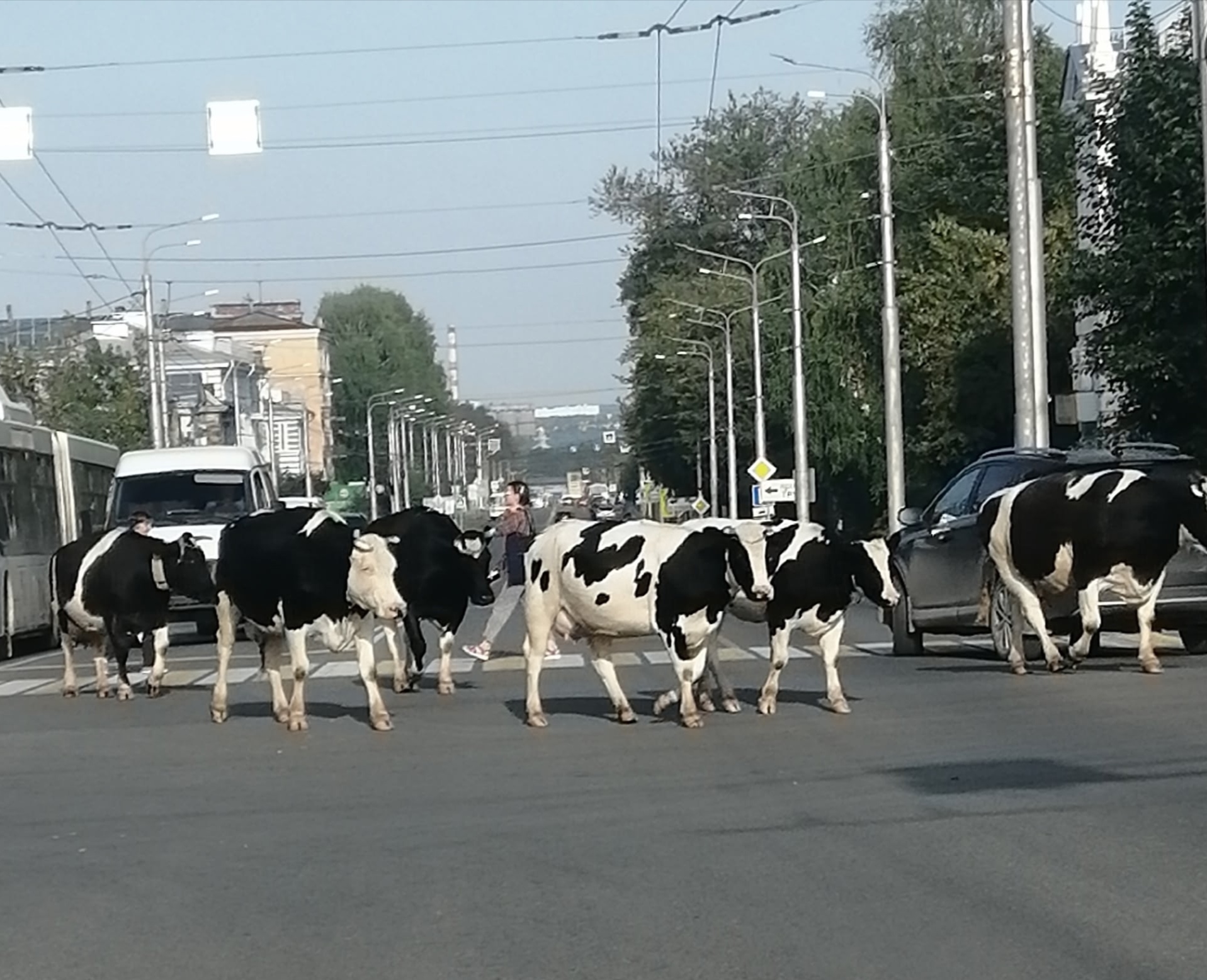 Фото: «Город Березники» / VK