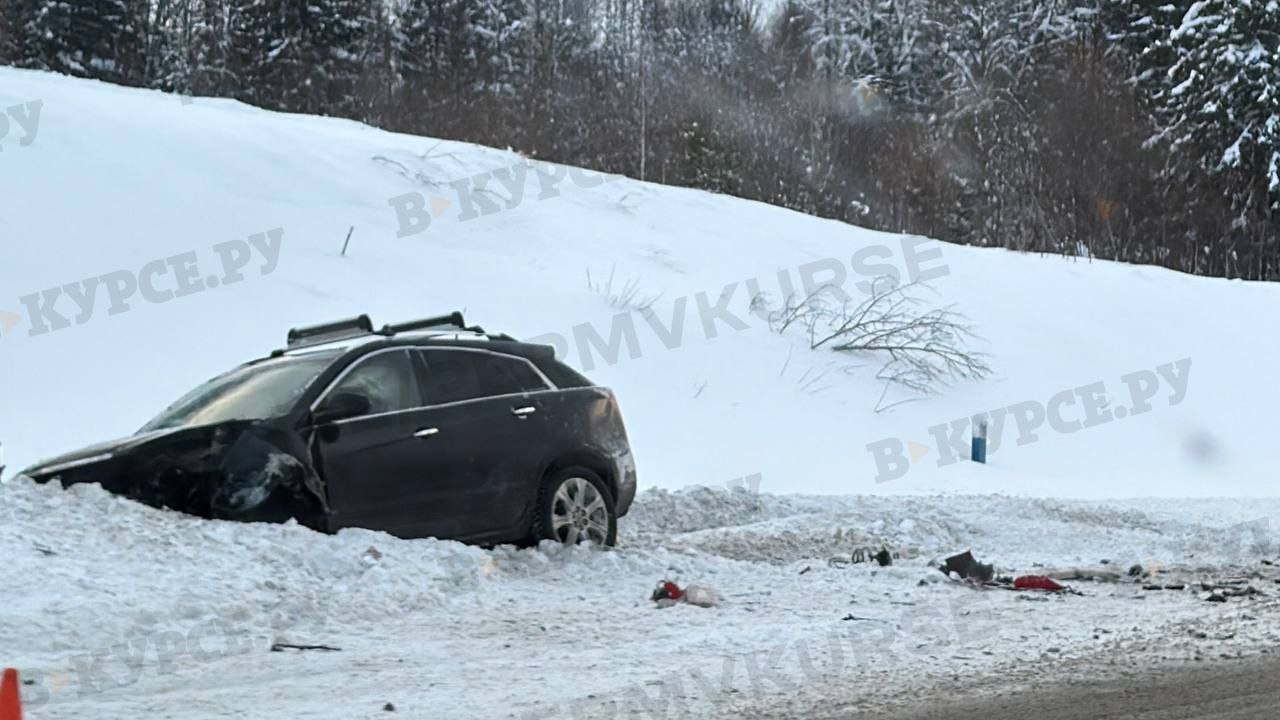 Фото: В курсе.ру 