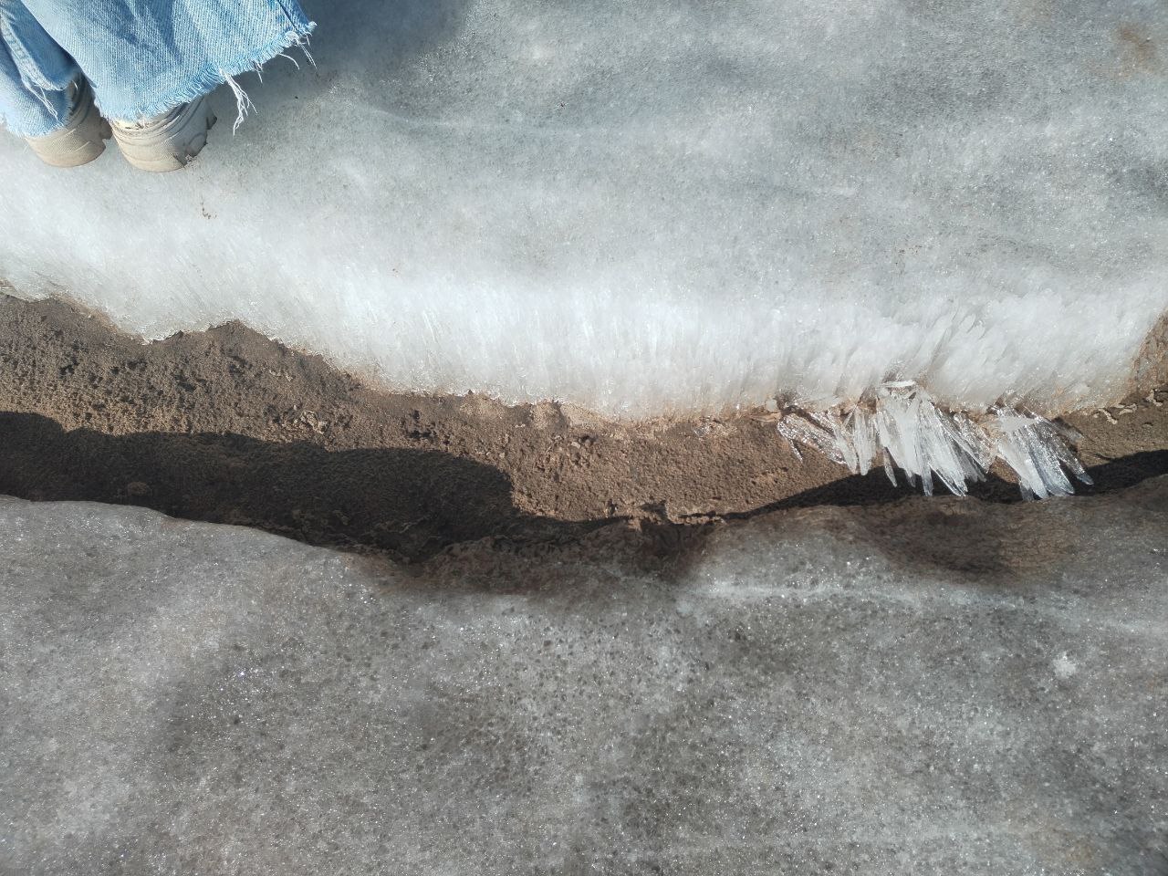 Фото: Полина Анкушина