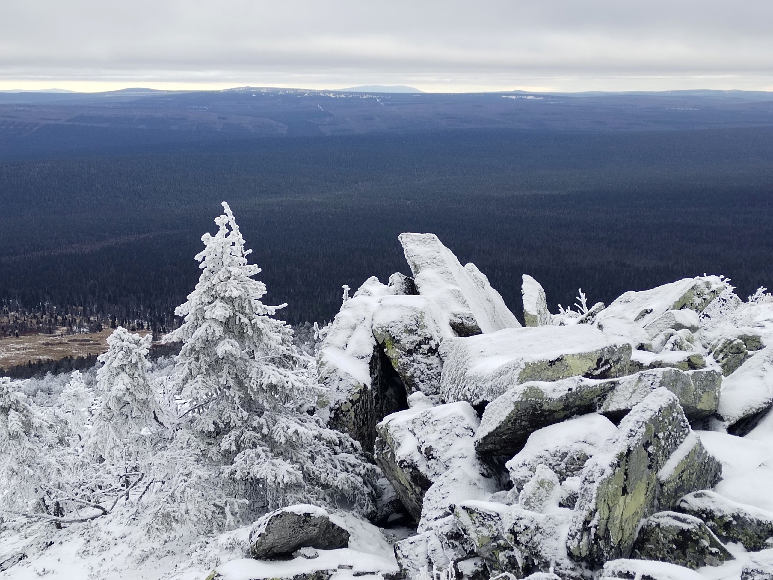 Фото: В курсе.ру  Полина Анкушина