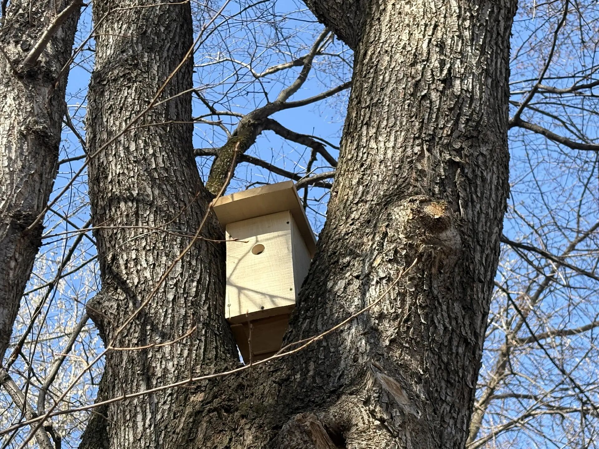 Фото: v-kurse.ru