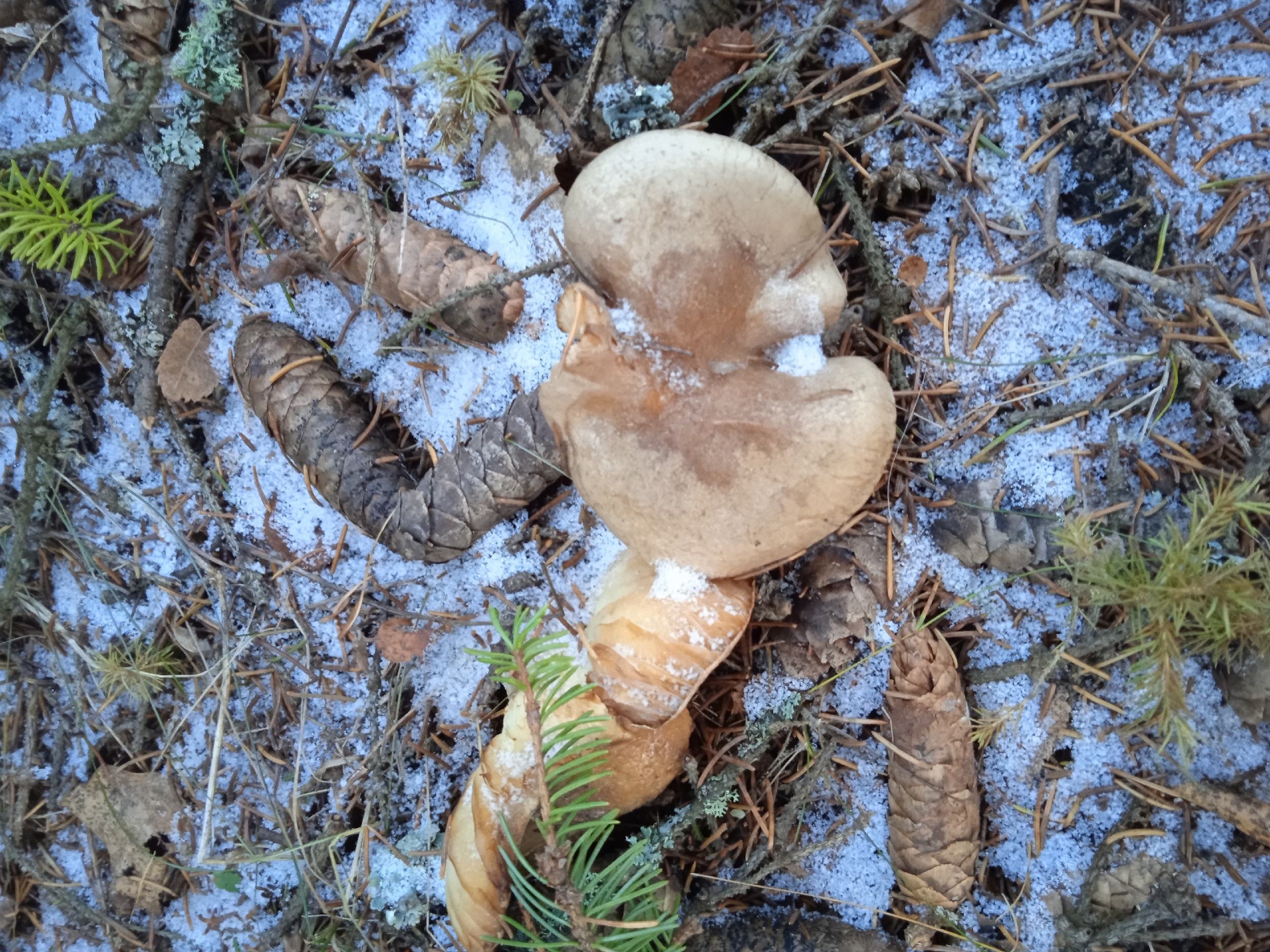 Фото: Оксана Сивкова