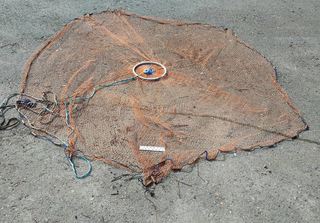 Фото: Пермский Линейный отдел МВД России на транспорте