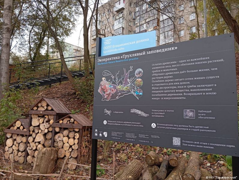 Фото: пресс-служба администрации Перми