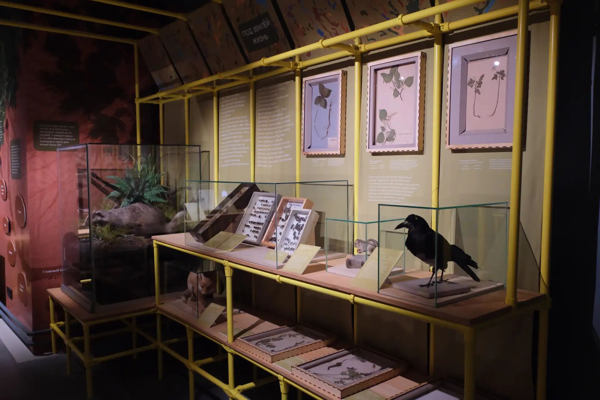 пресс-служба правительства Пермского края