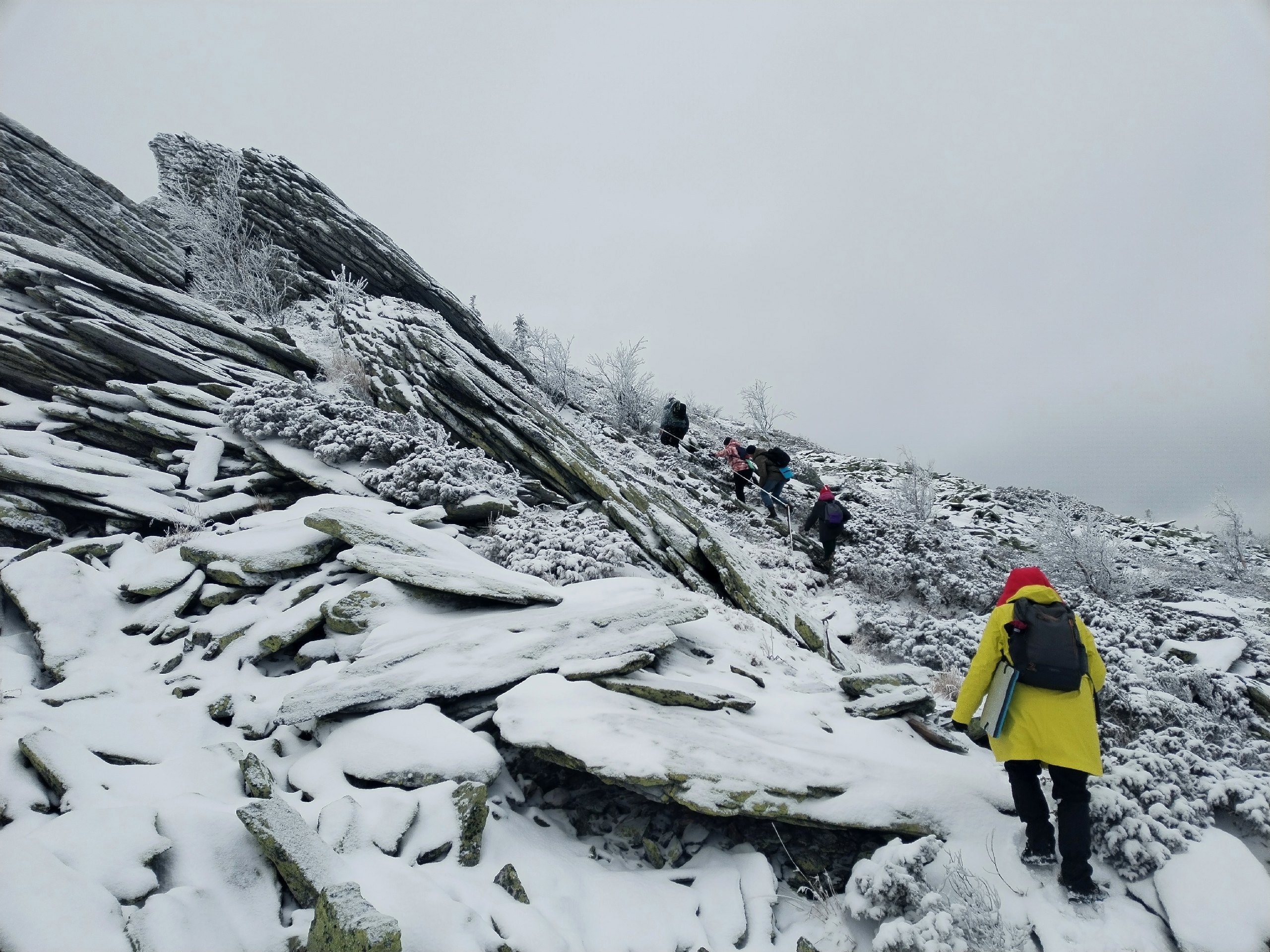 Фото: В курсе.ру  Полина Анкушина