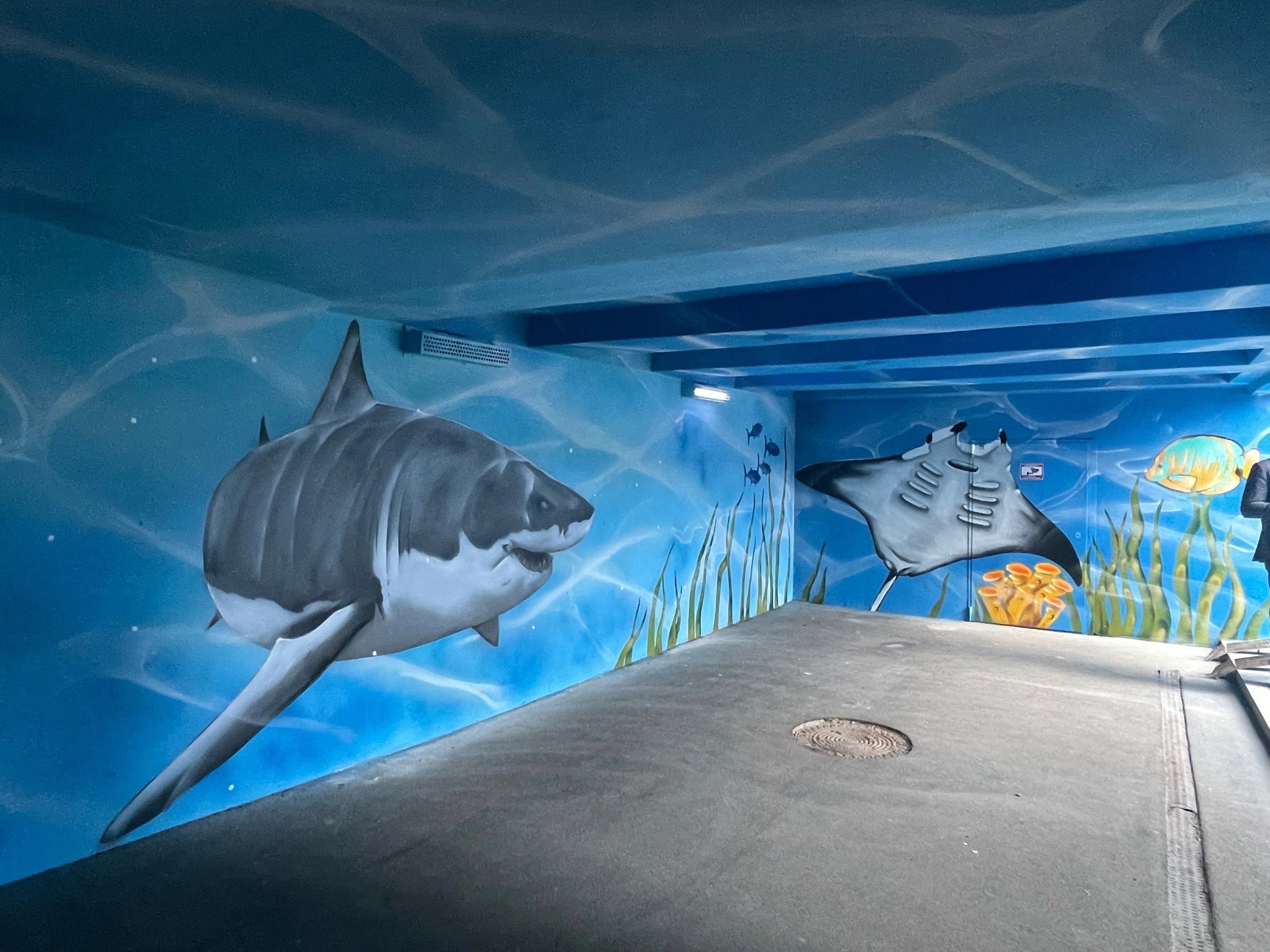 Фото: администрация города Перми