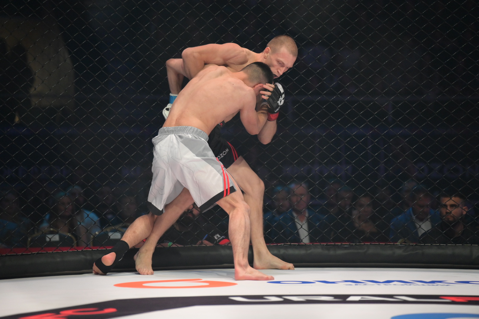 Фото: В курсе.ру