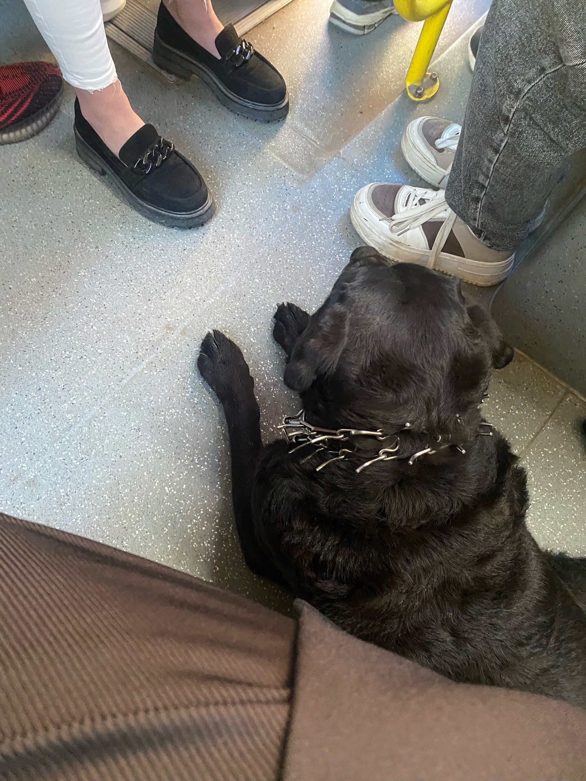 Фото: Подслушано Пермь / вк