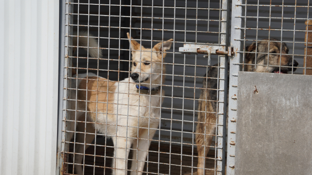 Фото: пресс-служба городской Думы