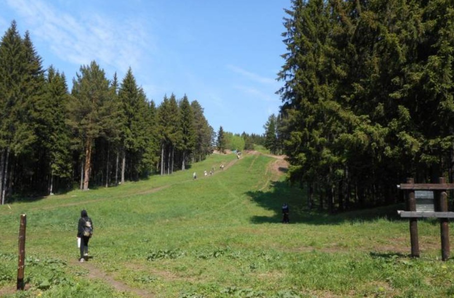 Фото: Управление по экологии и природопользованию администрации города Перми