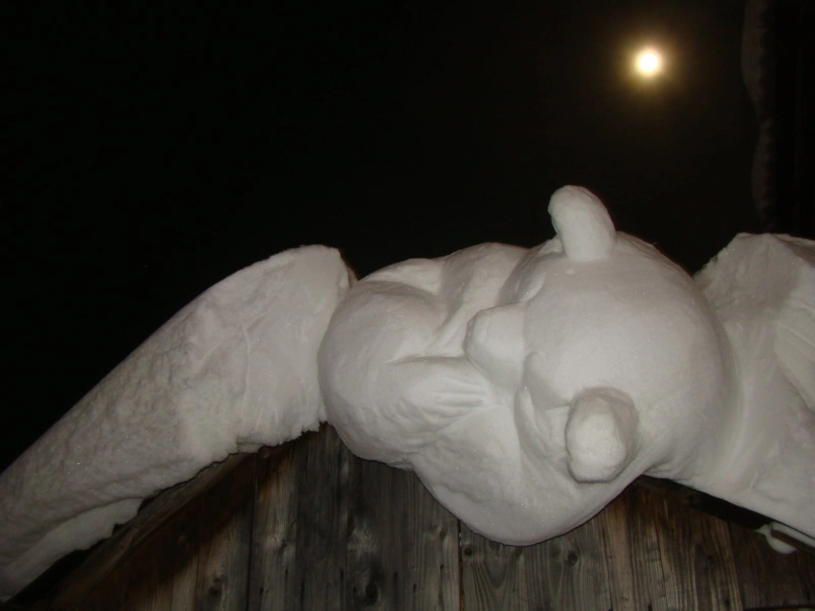 Фото: «ВКонтакте» / Николай Карелов