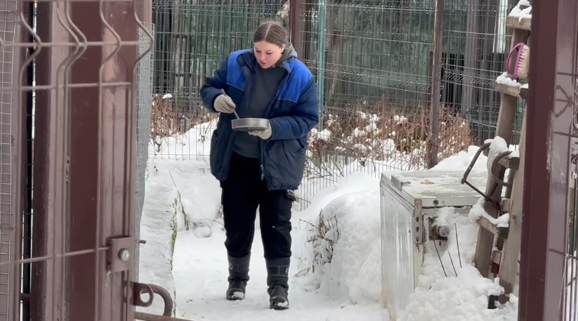 Фото: В курсе.ру