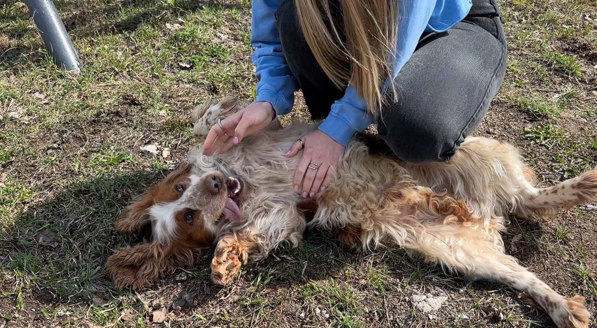 Фото: В курсе.ру