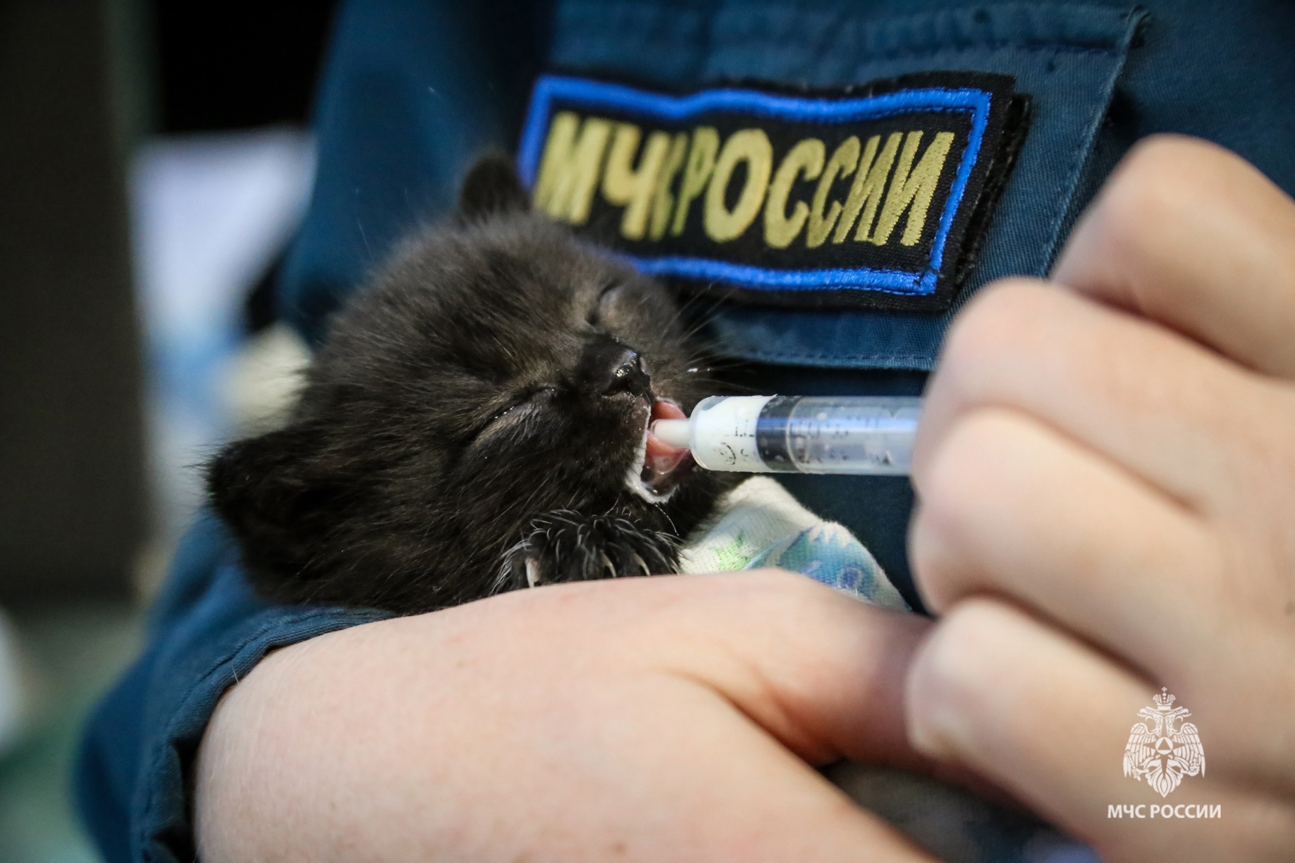 Фото: ГУ МЧС по Пермскому краю