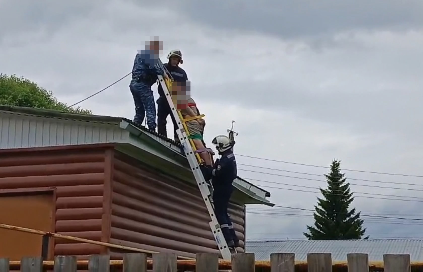 Фото: 
Поисково - спасательная служба КМО(16+). / VK