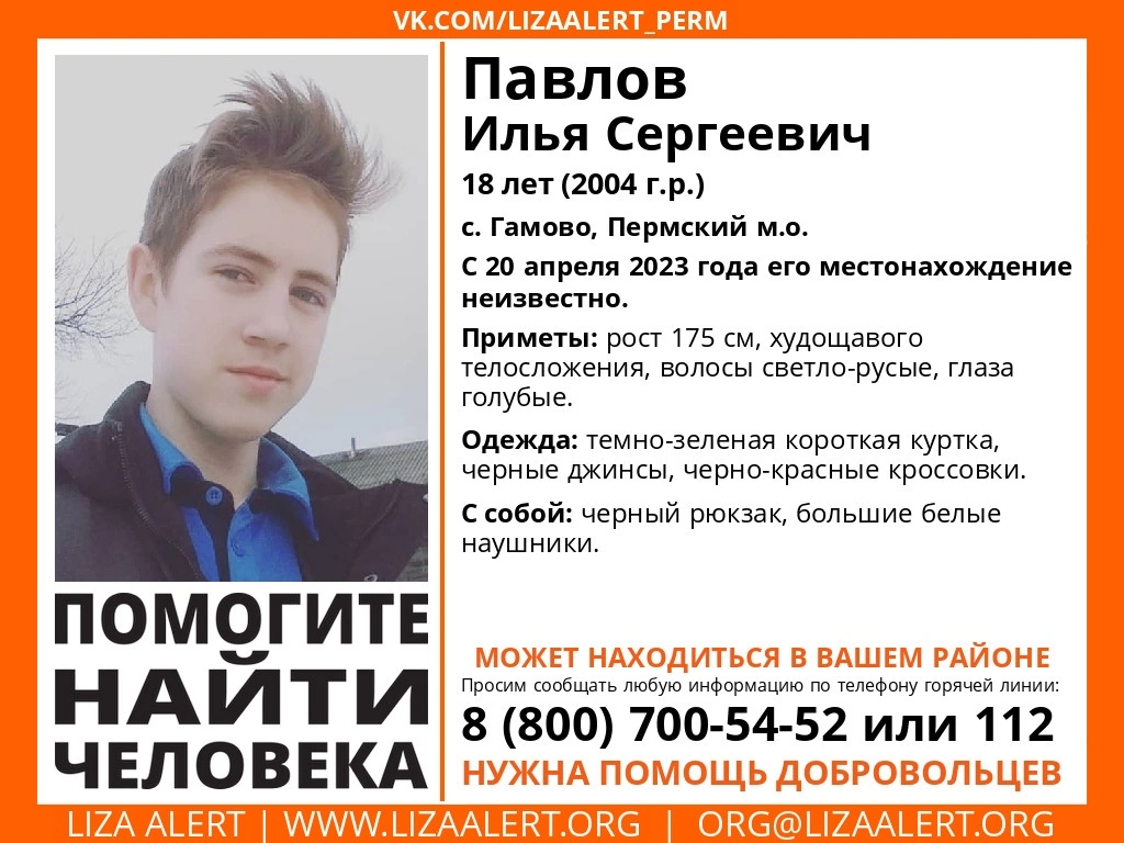 Фото: поисковый отряд «Лиза Алерт»