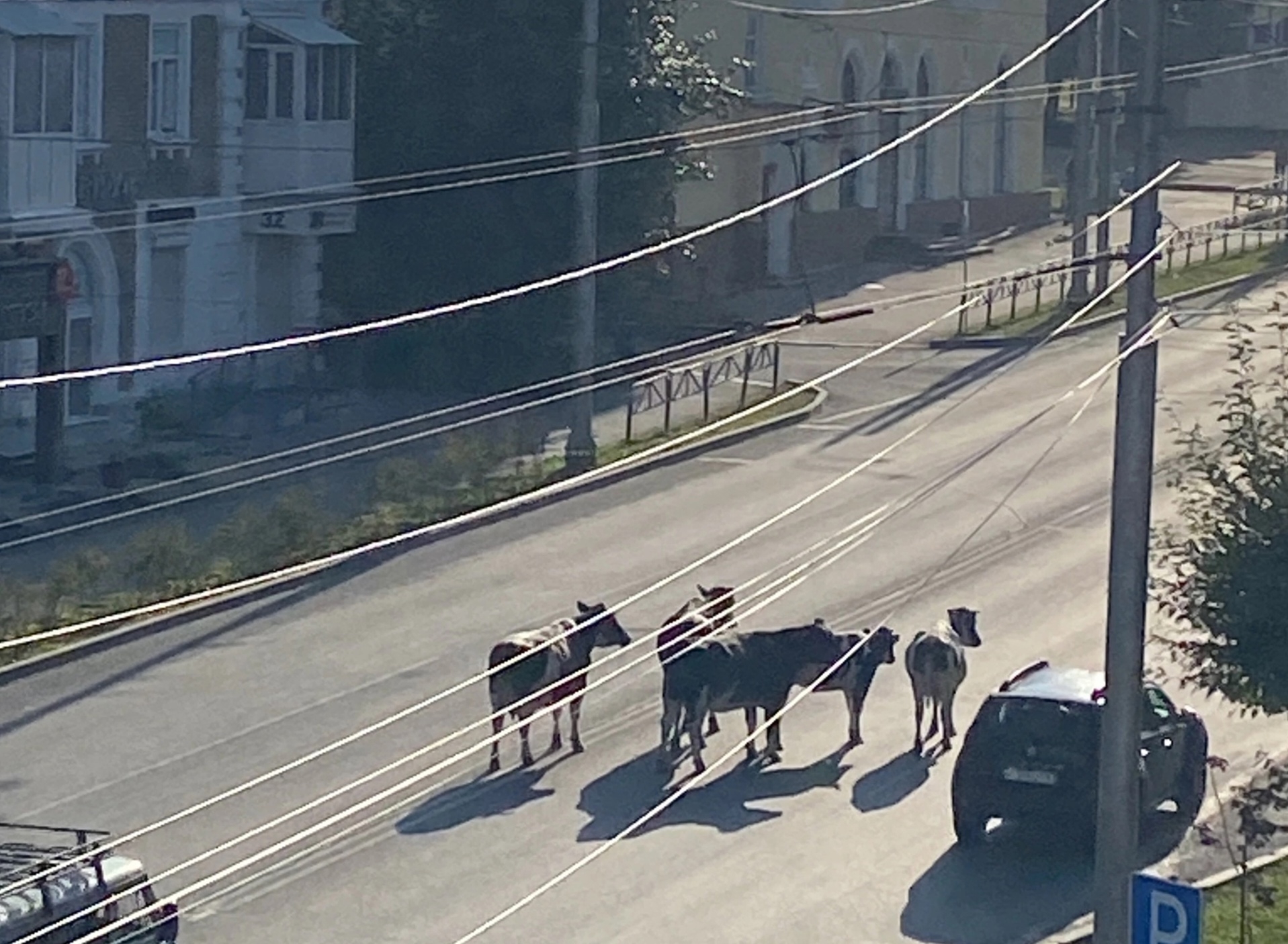 Фото: «Город Березники» / VK
