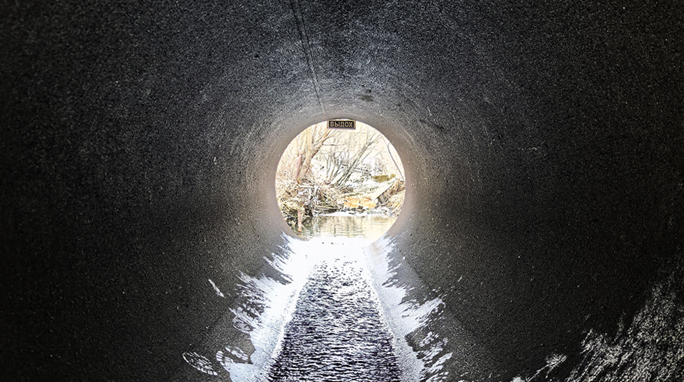 Фото: арт-группа «Злые»