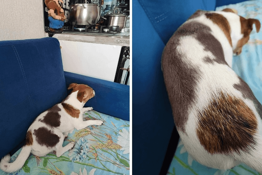 Фото: Евгений Шваб / VK