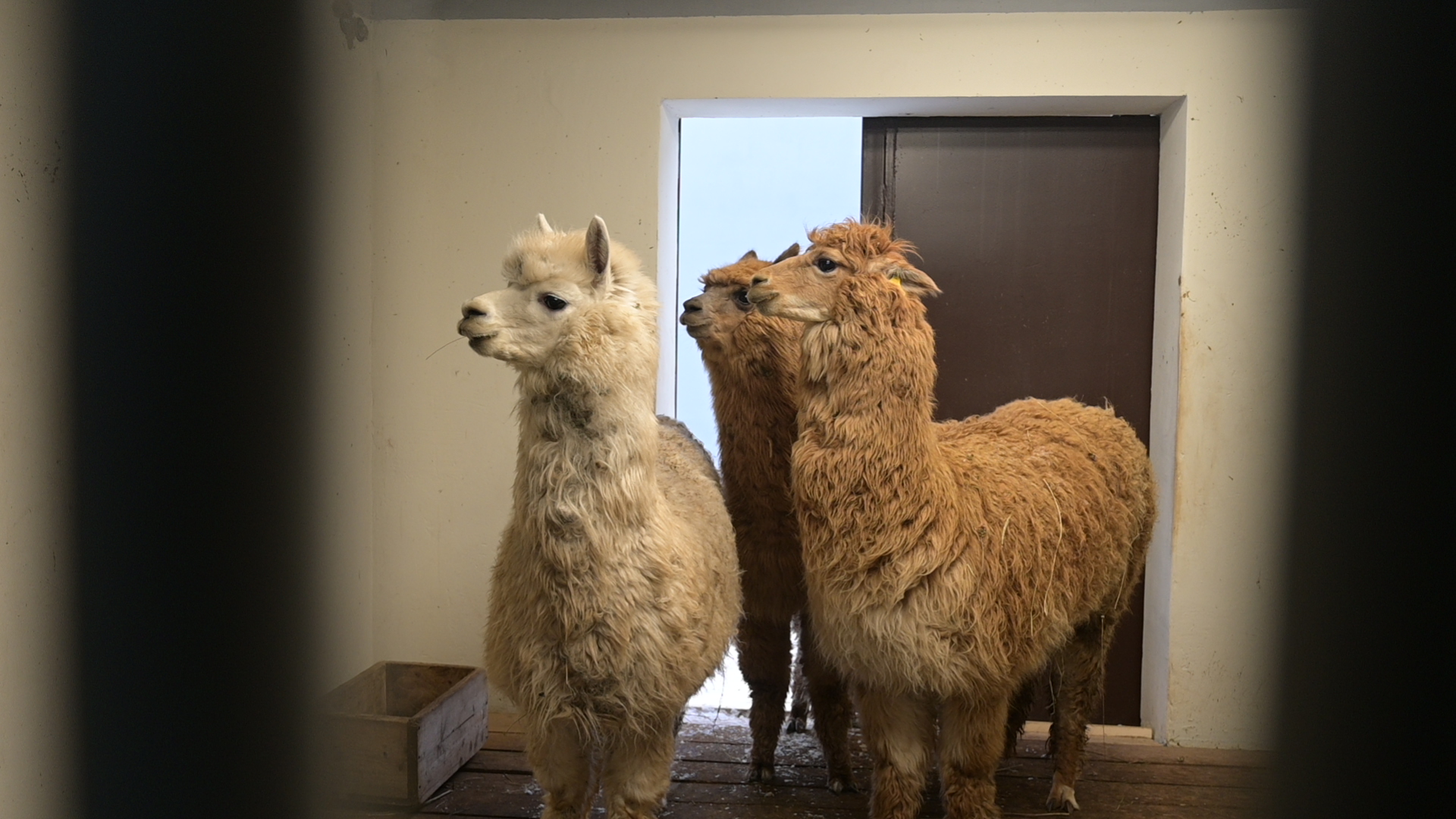 Фото: v-kurse.ru