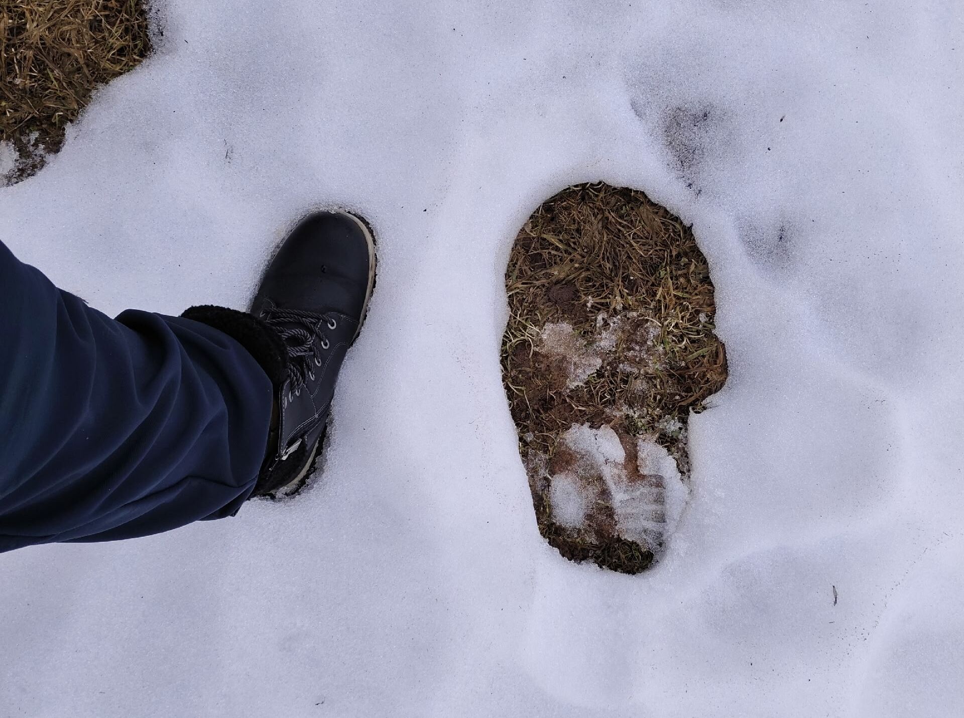 Елена Некрасова / ВК