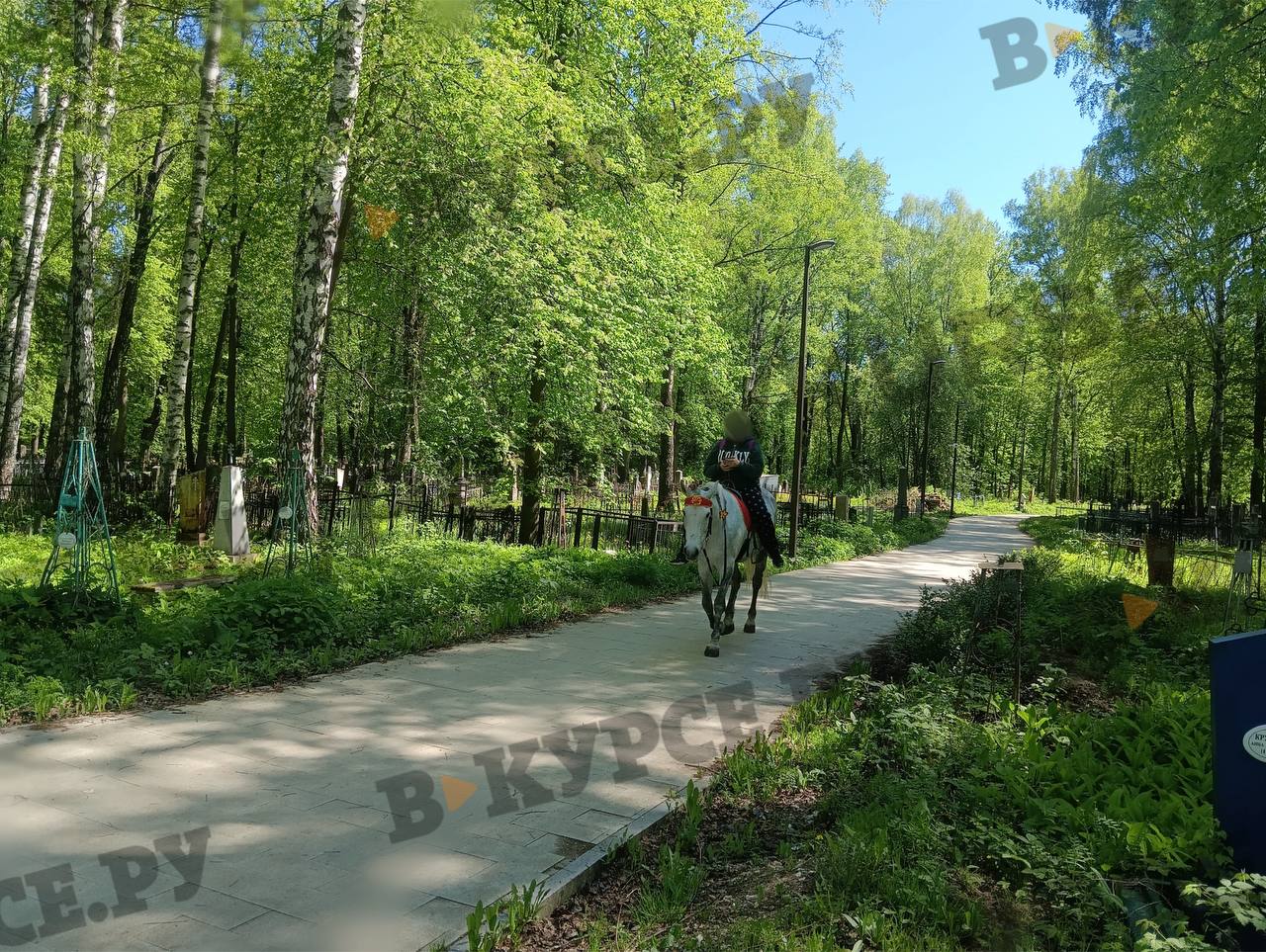 Фото: В курсе.ру