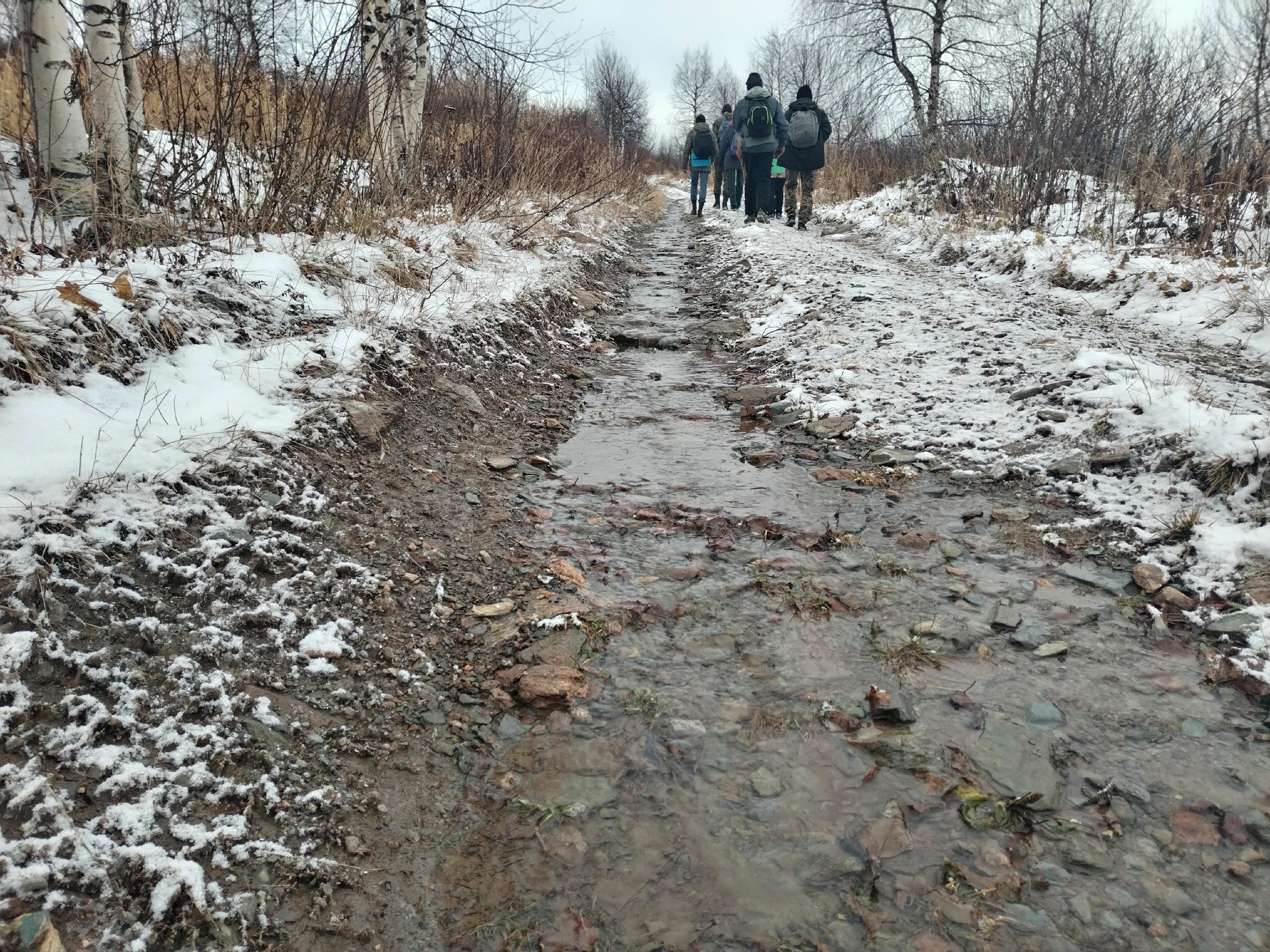 Фото: Полина Анкушина