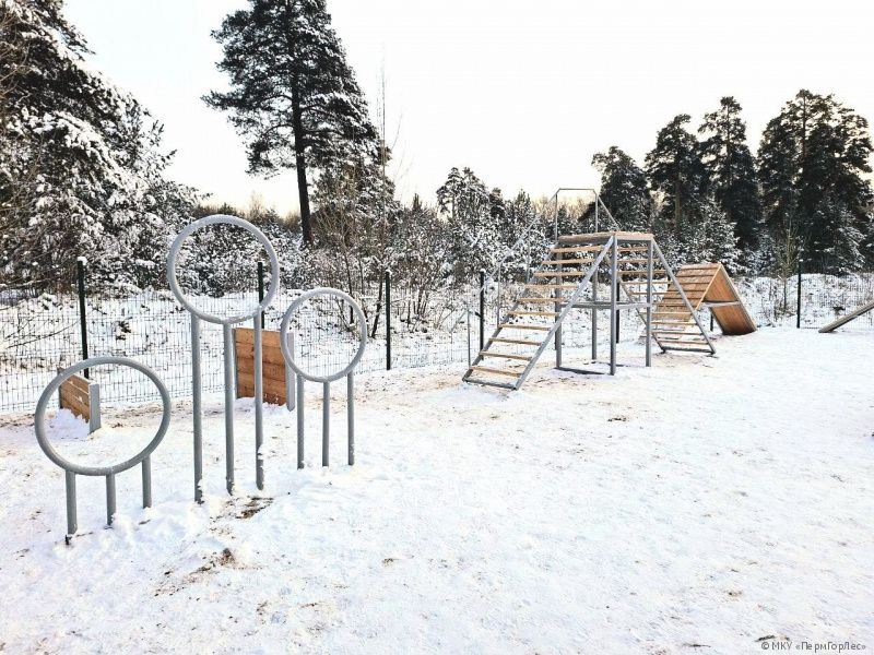 Фото: Фото: МКУ «ПермГорЛес»