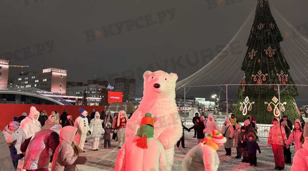 В Прикамье назвали самые высокооплачиваемые новогодние вакансии