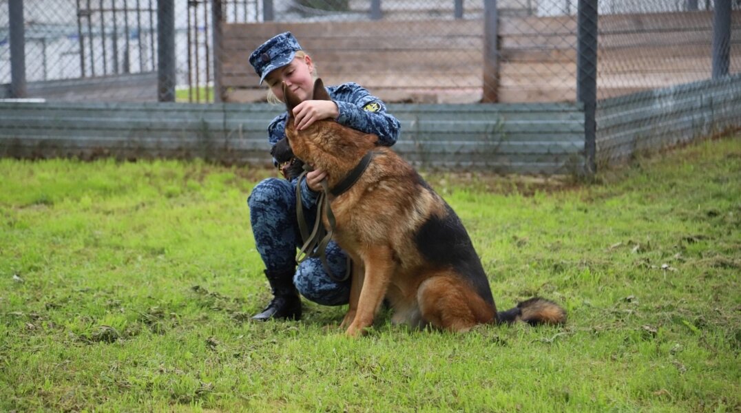 В Прикамье будут выпускать еще больше кинологов