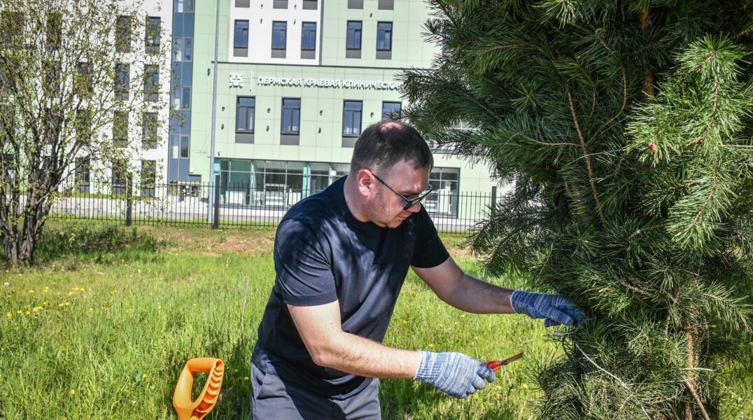 Мэр Перми принял участие в высадке сосен на ул. Леонова