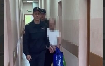 Пермяк отправится в колонию строгого режима за покушение на убийство девочки