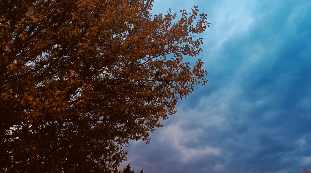 В Прикамье начался период дождей и постепенного похолодания