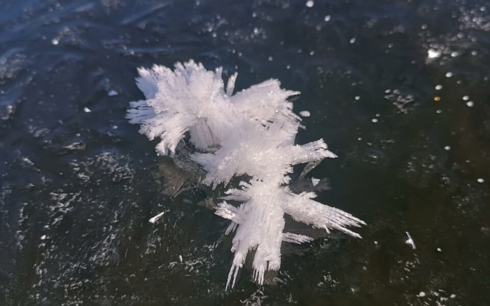 На реке Чусовой в Пермском крае появилось редкое явление — "ледяные цветы". Фото